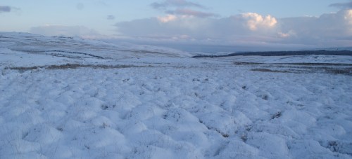 Deep and crisp and even