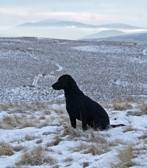 Sunday's snow is still lying