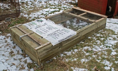 New digs for the happy couple