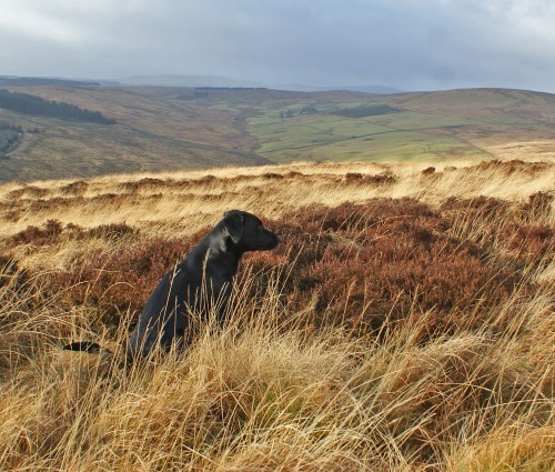 A breath of fresh air