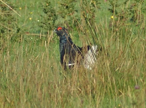 More work to do, as always...