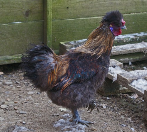 A new man's in town.