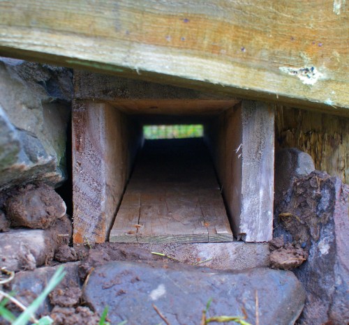 A see-saw trap in situ - built into the new post and rail hedgerow.