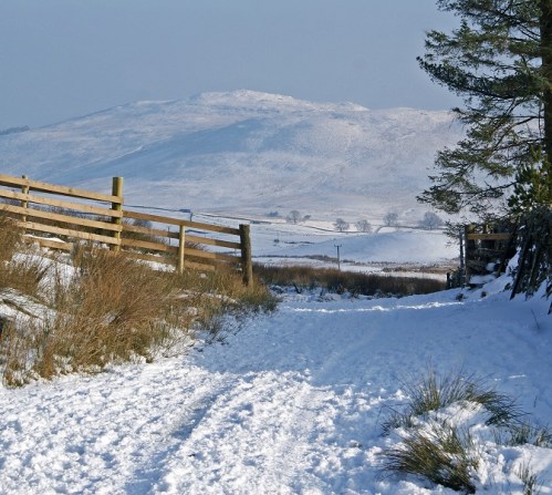 I don't want to post a photograph of the Chayne today. Here it is on a nicer day.