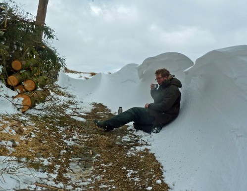 The last of the snow photographs