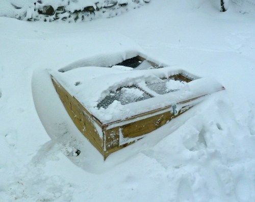 There are partridges under there somewhere