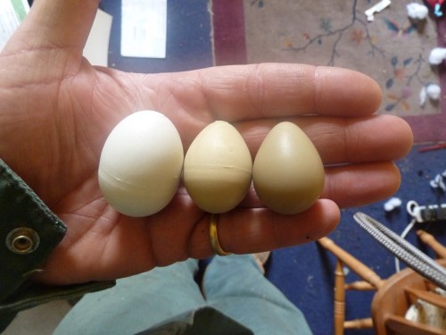 (from left) plastic pigeon egg, plastic partridge egg, real partridge egg