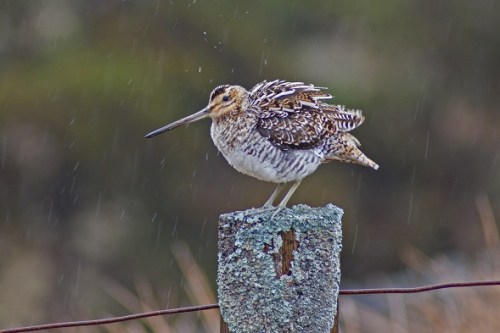 Even the worst photographer strikes it lucky every now and again