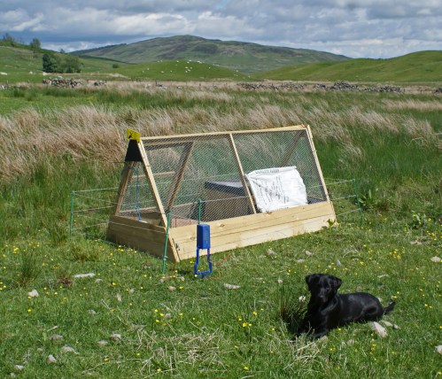 The first brood is up on the Chayne