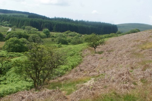 Last year's treatment : impressive stuff.