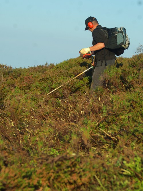 One way of getting the job done