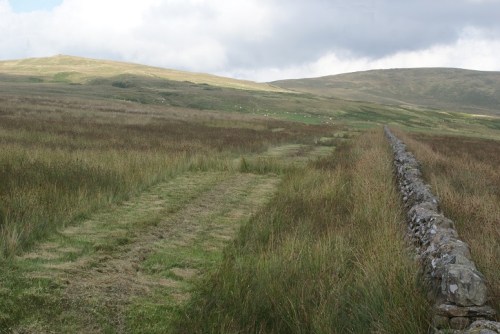 Rushes cut to break up monotonous habitat for waders. One of a few different designs.