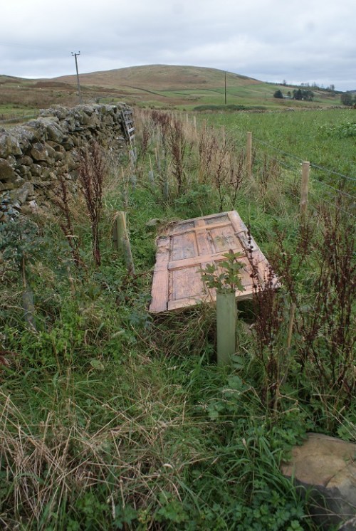 The hedge in its first autumn, complete with door shelter for dusting partridges