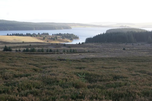 Gors Maen Llwyd, on the Mynydd Hiraethog