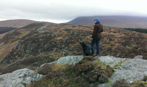Looking west along the Clints of Dromore