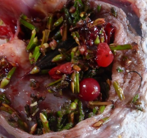Cowberries in the crop of a bird from Morayshire
