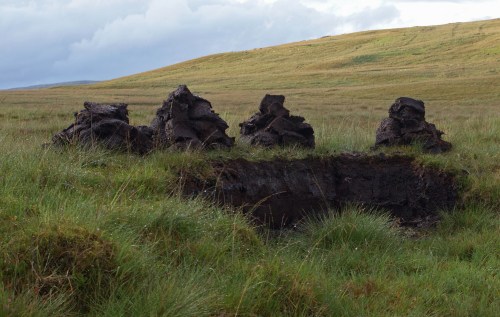 Stacks of freshly cut peat on the Chayne