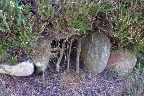 A good spot for a Mk. 4