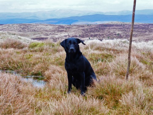 A brisk afternoon on the high ground