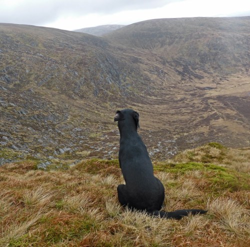 Looking onto the Clints o' the Spoot from the Knee of Cairnsmore