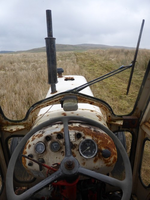 The finest view in Scotland (with apologies to Snaffles)