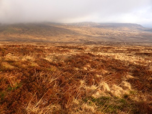 Cairnsmore in the sunshine - just add blackgame.