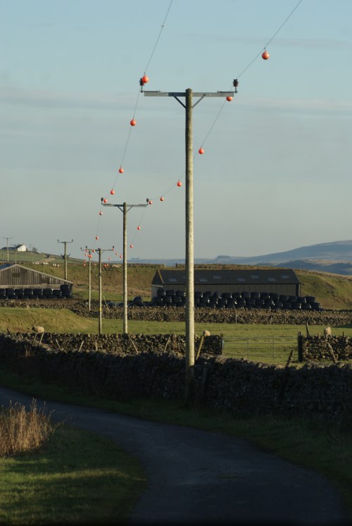 Wires marked to prevent black grouse collisions - Teesdale, Co. Durham.
