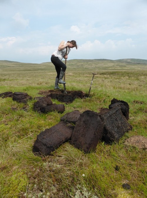 Hard work in the sunshine