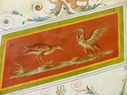 The Pope's curlews