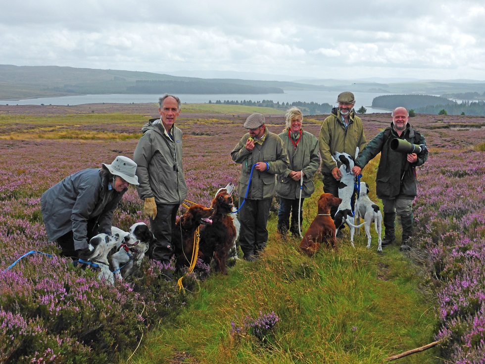 Counting grouse at Gors Maen Llwyd