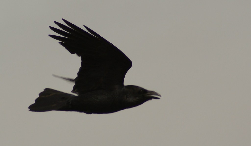 Relationship building