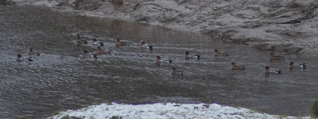 A distant glimpse on the merse