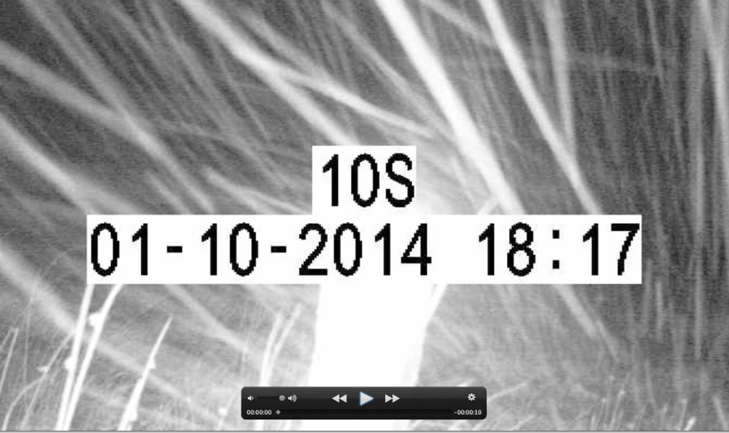 Several hours of blizzard footage - not the best start.