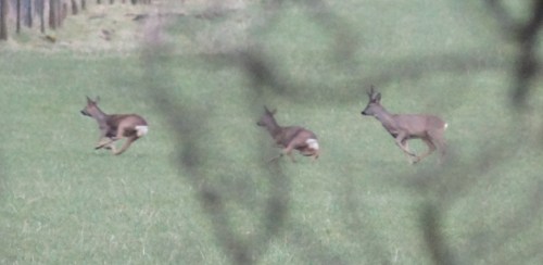 Round and round, then back round again.