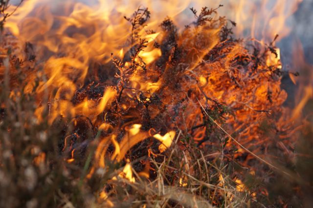 A great day for a fire