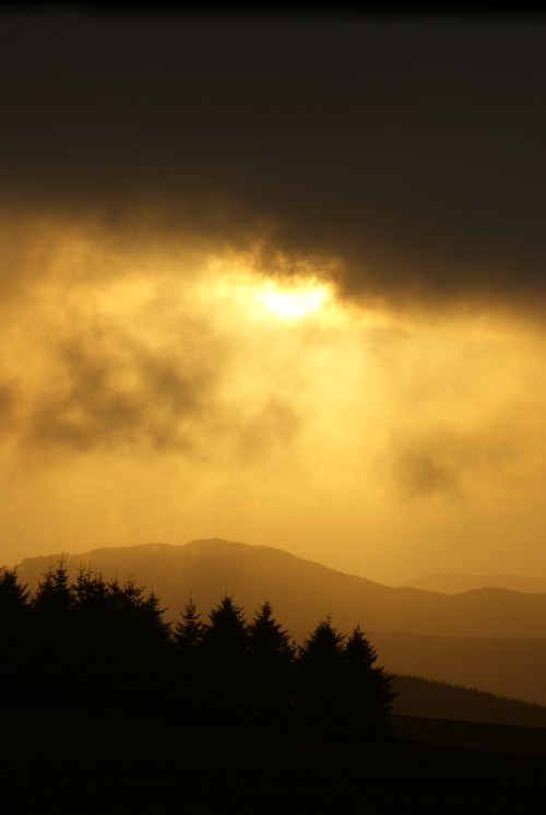 Lovely, but as grim and bitter as hell.