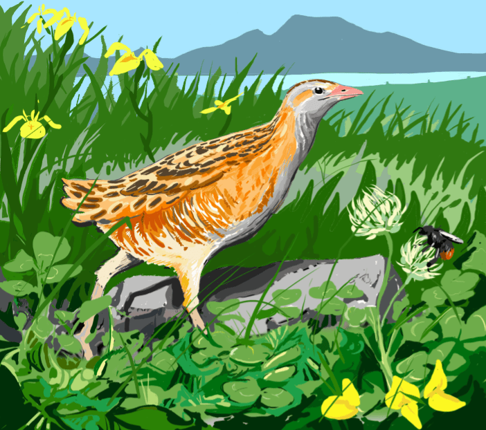 Another experiment with a graphics tablet