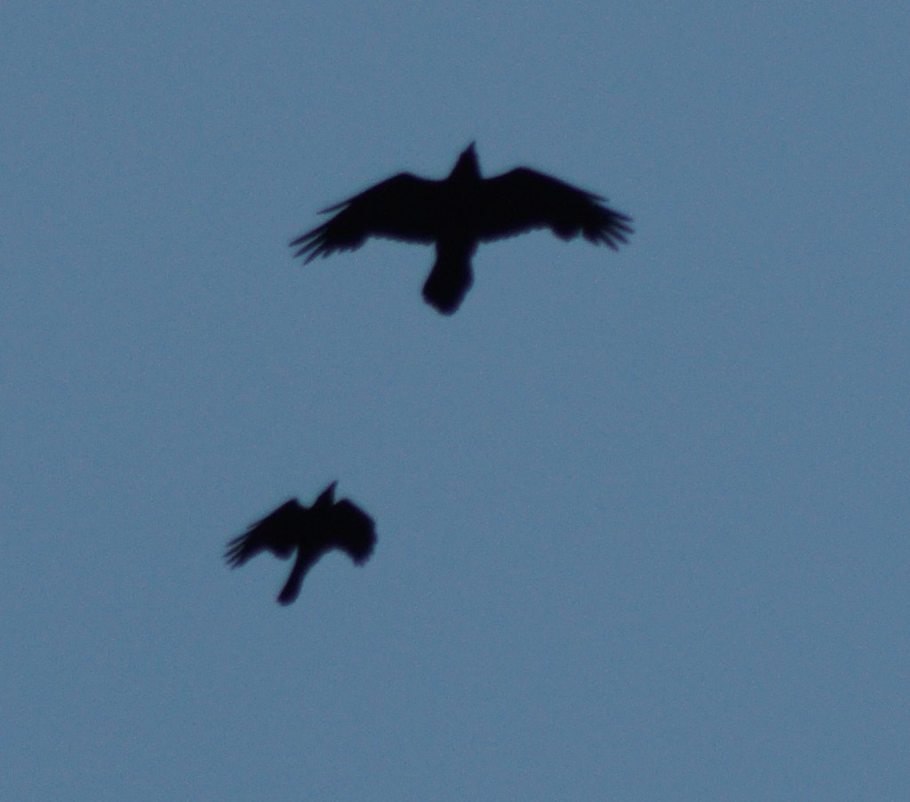 A handy reference for scale.