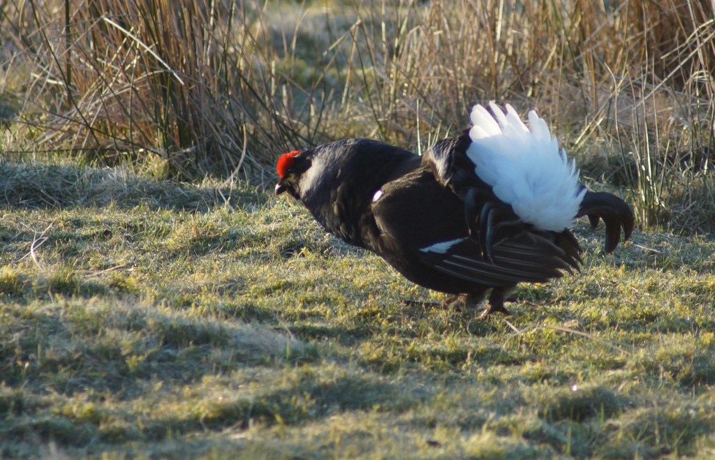 A cracking morning to be out