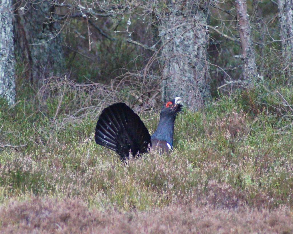 Perhaps the best thing my camera has ever been pointed at