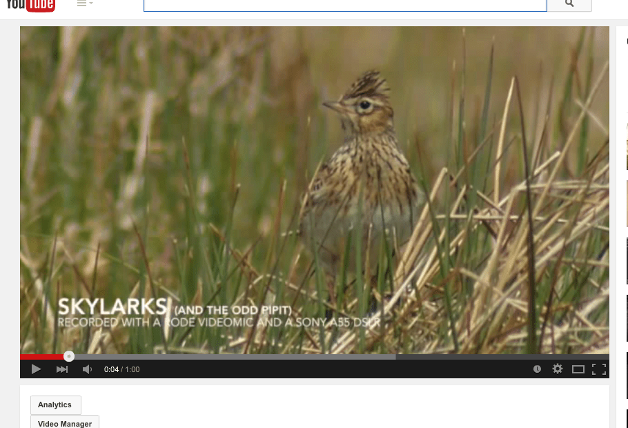 Sound recording demos