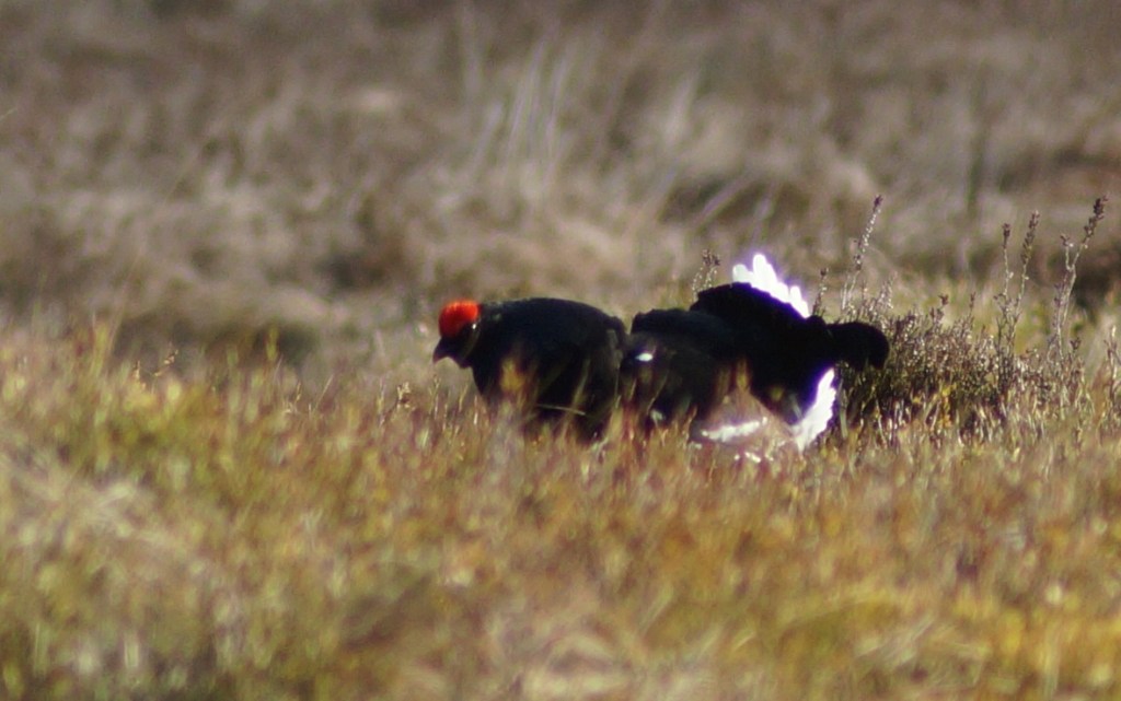 Taking matters into his own hands