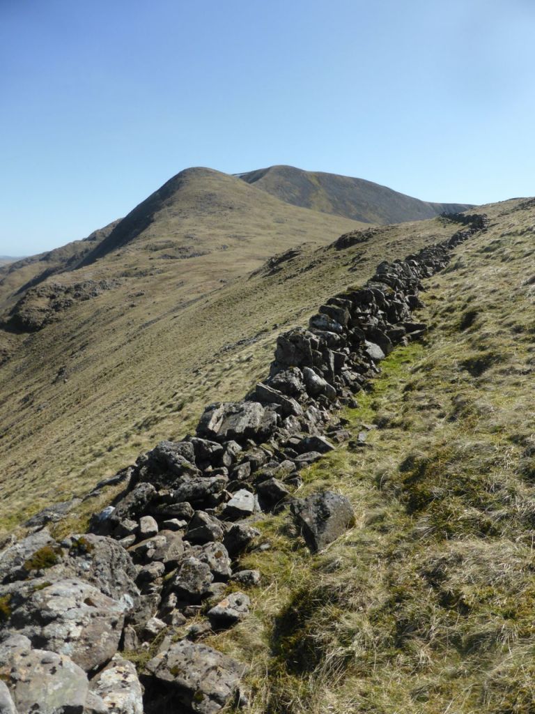 What could be better than an eagle on the Merrick? But food is scarce for large predatory birds