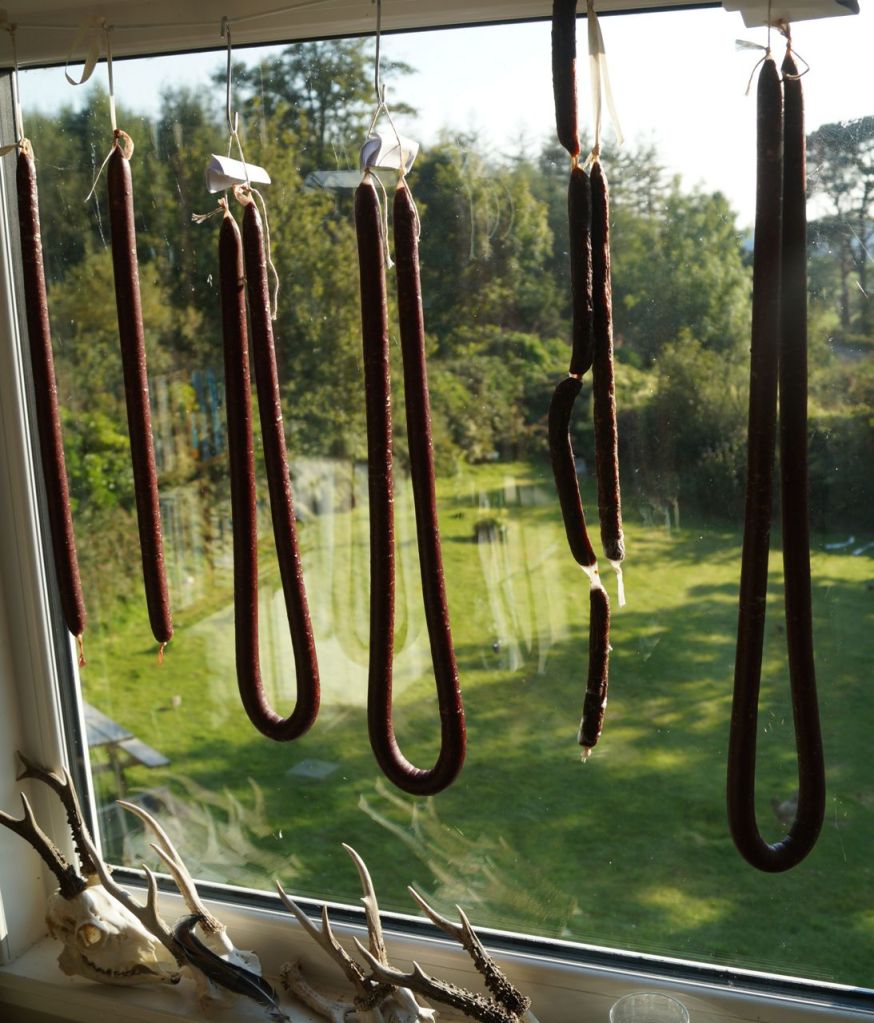 Drying wors in the sunshine