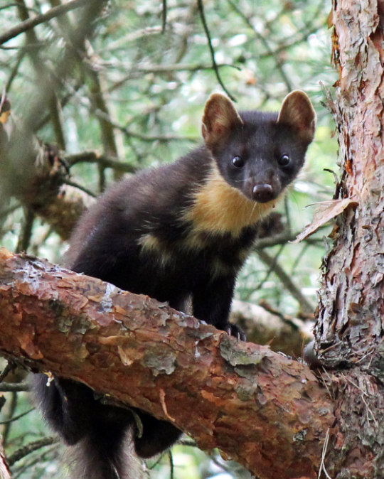 Exciting new evidence