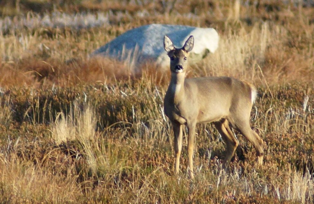 Just before the cold hit