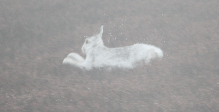 Screen Shot 2015-11-18 at 12.52.58