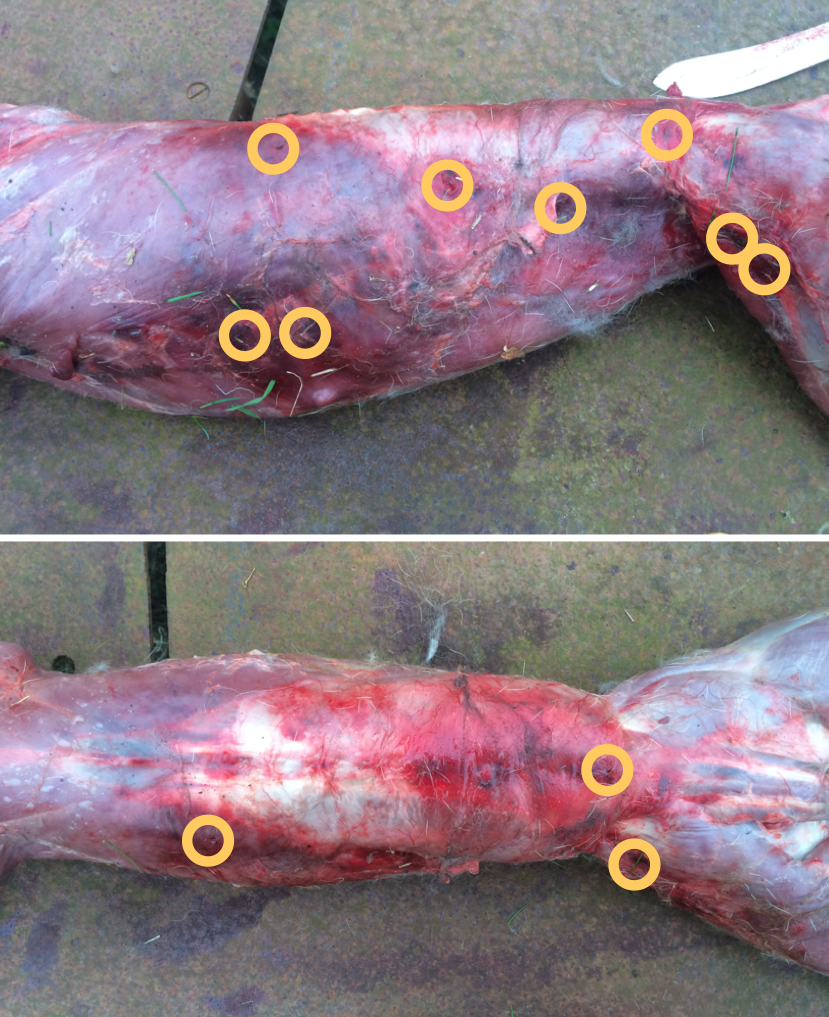 Screen Shot 2016-03-31 at 23.00.13