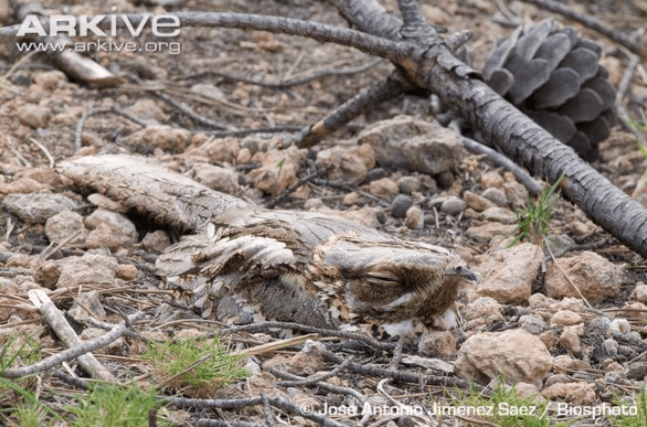 Screen Shot 2016-05-17 at 11.11.34.png