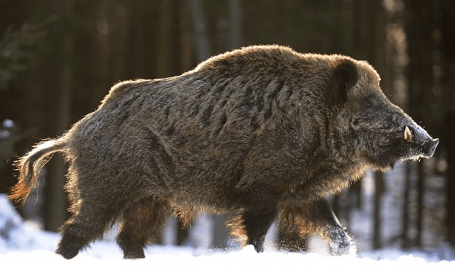 Screen Shot 2016-07-19 at 10.10.25